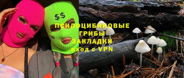 не бодяженный Медвежьегорск
